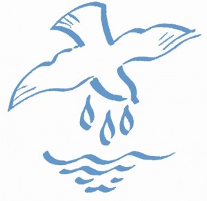 Taube mit Wasser Bild zur Taufe