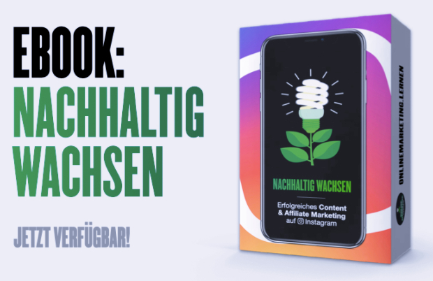 Buchcover Nachhaltig Wachsen mit Instagram